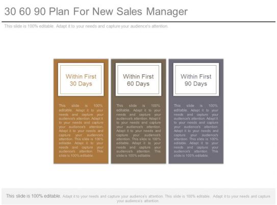 90 day business plan for new sales manager