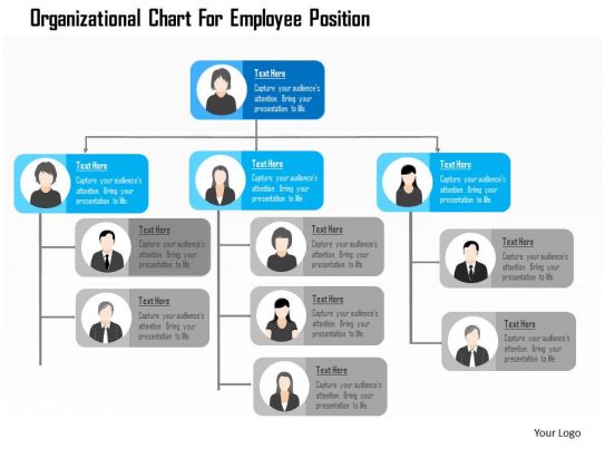 Organizational Chart For Employee Position Flat Powerpoint 