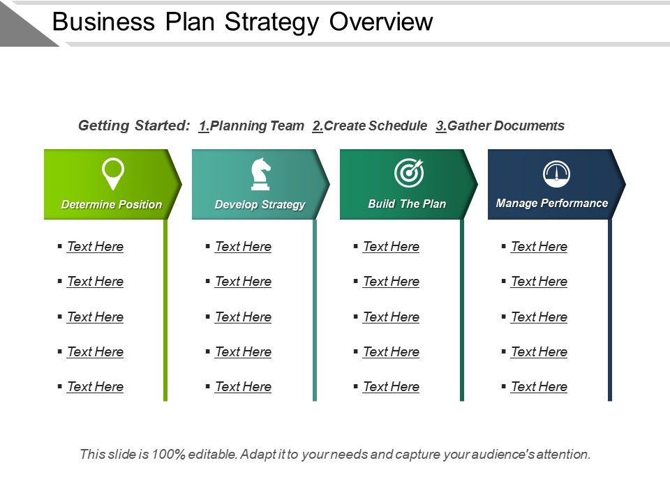 Business Plan Strategy Overview Presentation Examples | Templates