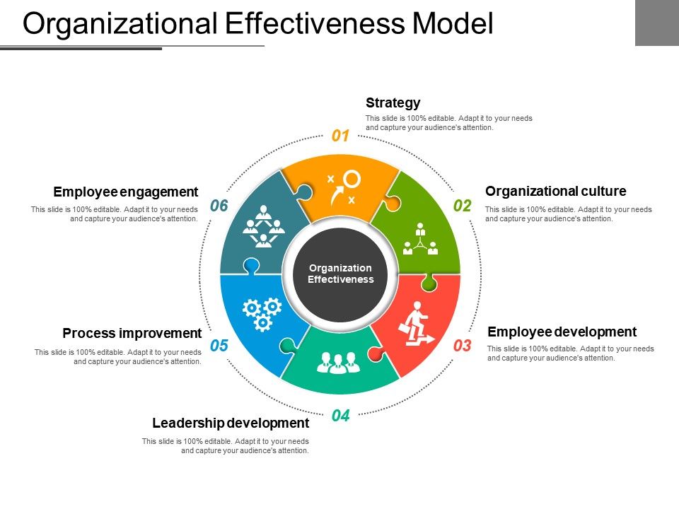 Efficiency And Effectiveness Of An Organization