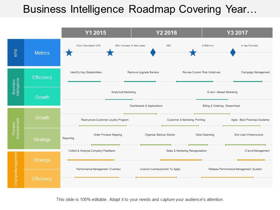Business Intelligence Plan Template