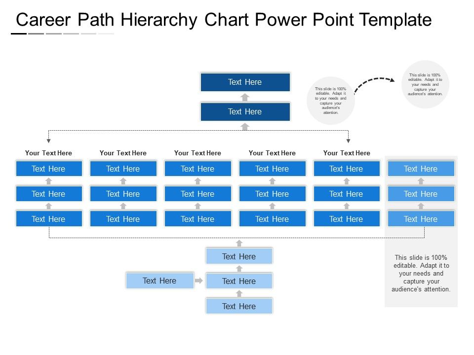 Career Path Flow Chart Template
