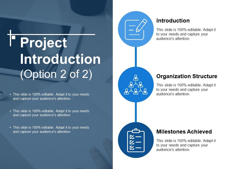 project introduction presentation example