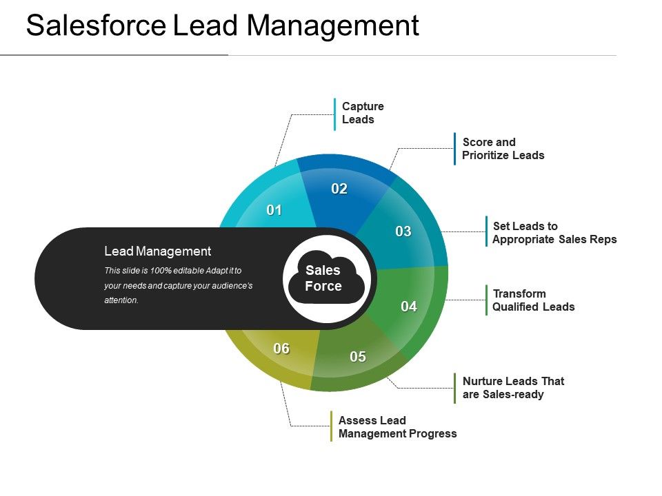 Salesforce Lead Management Powerpoint Presentation PowerPoint