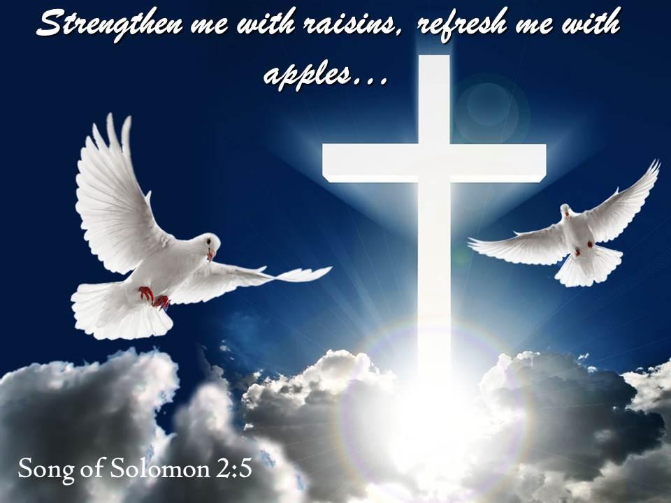 0514 song of solomon 25 refresh me with apples powerpoint church sermon Slide01