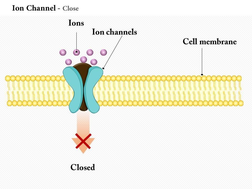 0614 ion channel close medical images for powerpoint Slide01