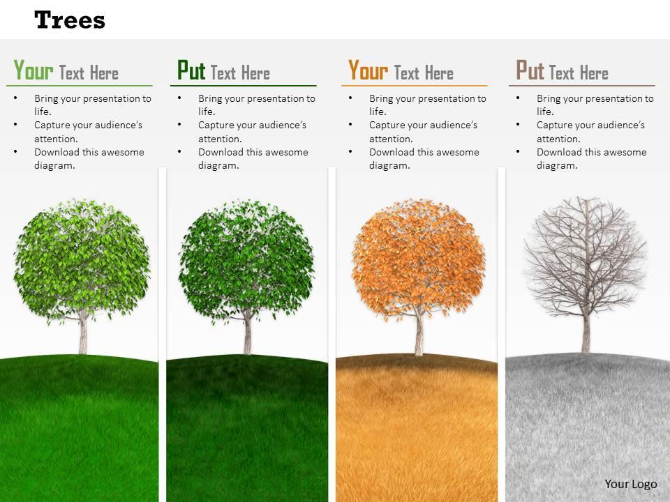 0814 Trees To Show Four Different Seasons Image Graphics For PowerPoint