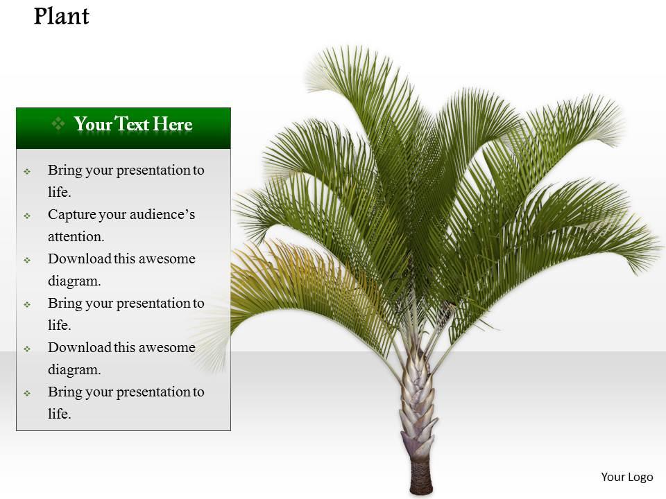 0914 plants green environment concept ppt slide image graphics for powerpoint Slide00