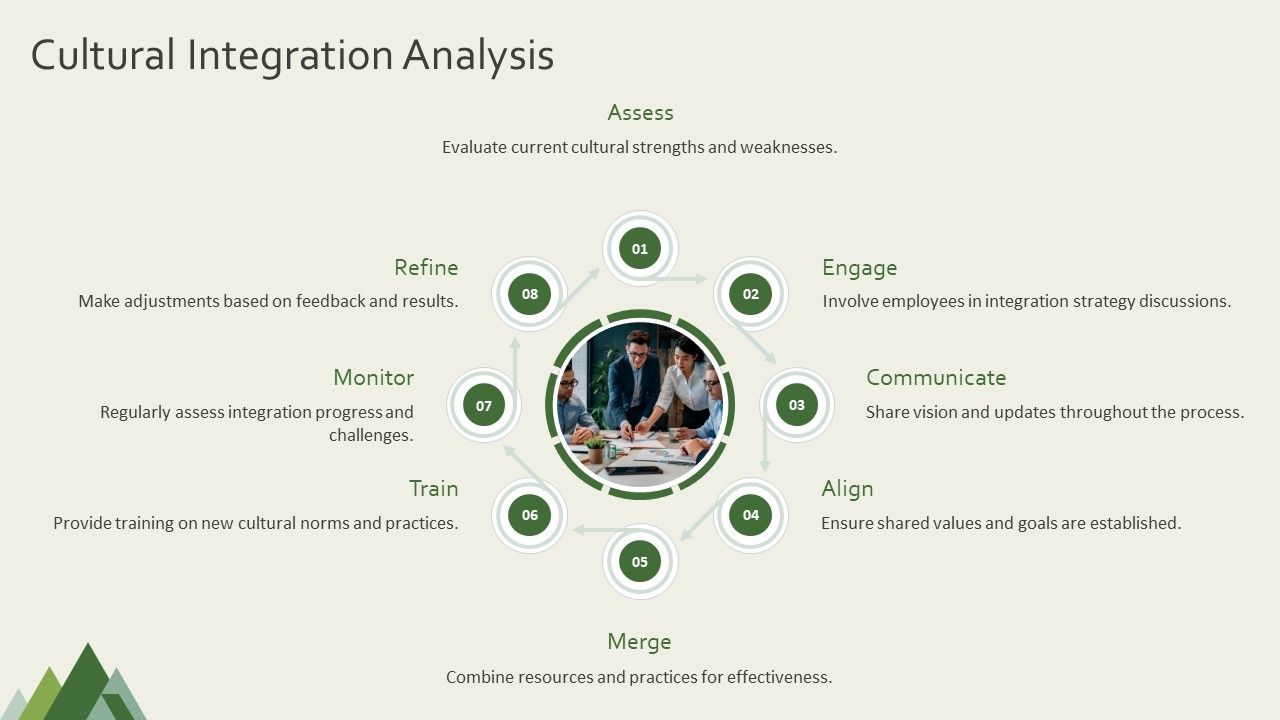Cultural Integration Analysis Cultural Integration Analysis