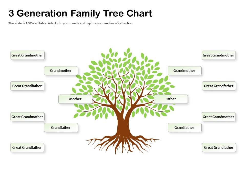 3 Generation Family Tree Chart, PowerPoint Slides Diagrams, Themes for  PPT