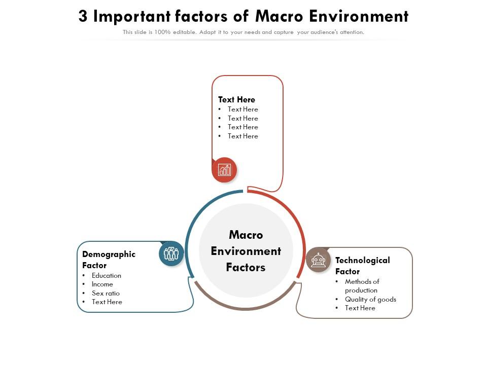 3 important factors of macro environment Slide01