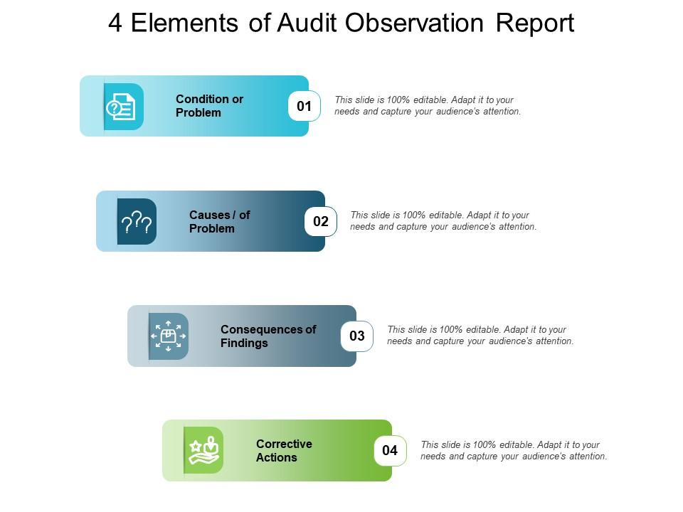4 elements of audit observation report Presentation Graphics