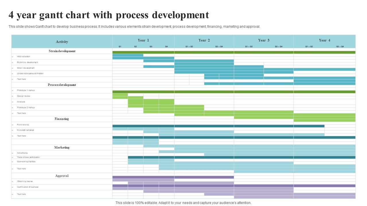 4 Year Gantt Chart With Process Development PPT Example