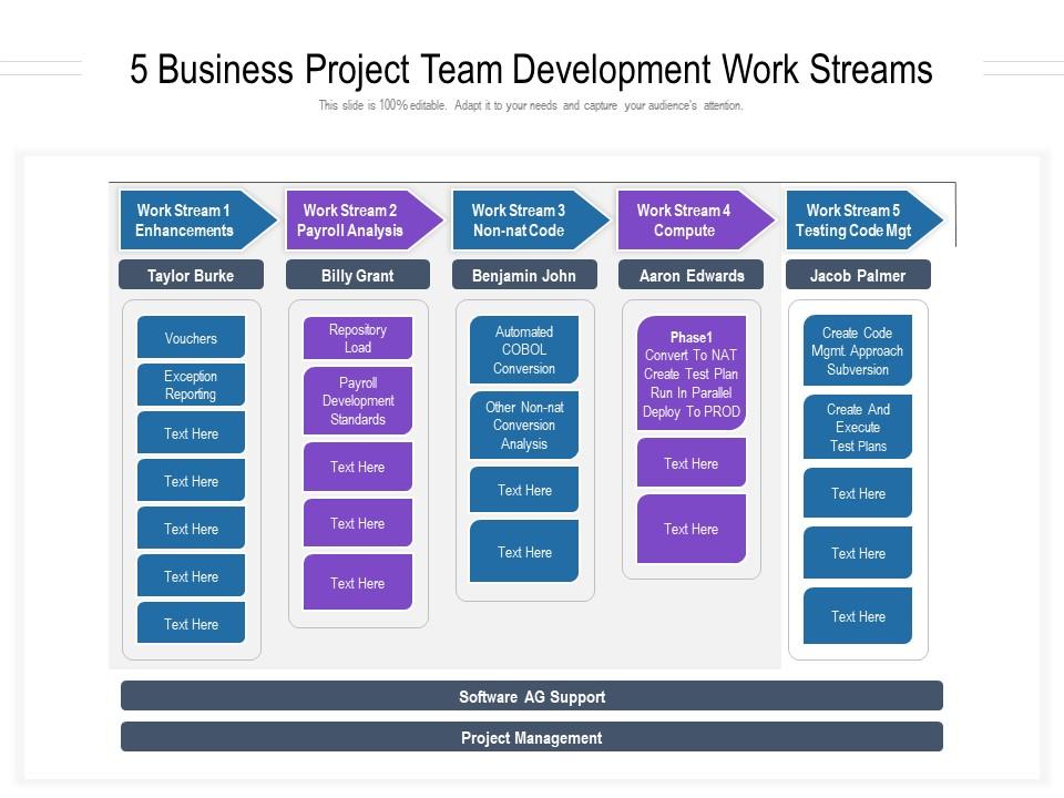5 business project team development work streams Slide01