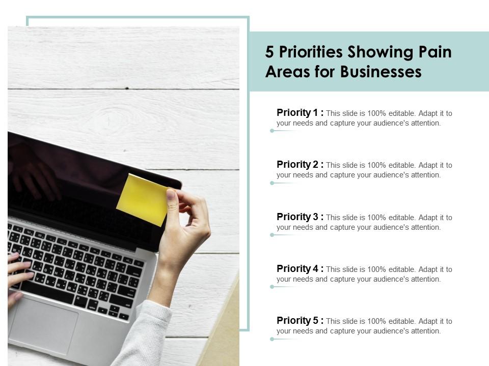 5_priorities_showing_pain_areas_for_businesses_Slide01