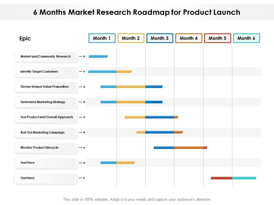 6 months market research roadmap for product launch Slide01