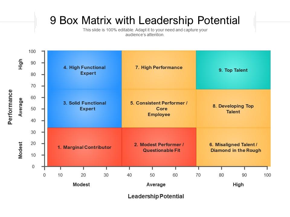 9 Box Matrix With Leadership Potential Presentation Graphics