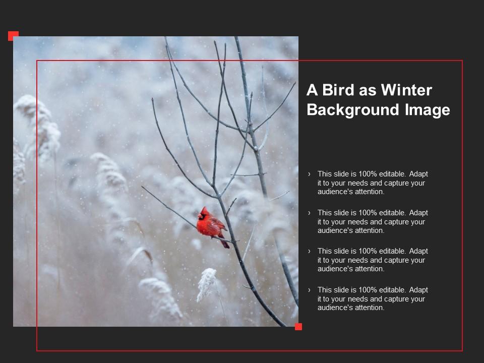 A bird as winter background image Slide00