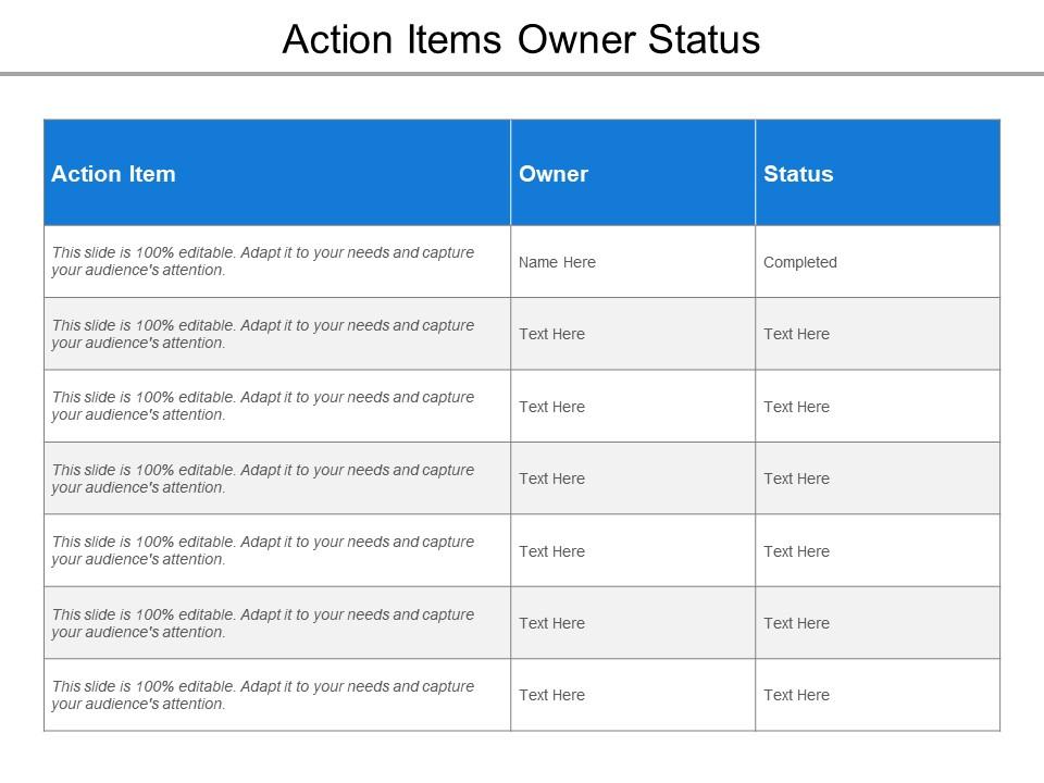 Action items owner status Slide01