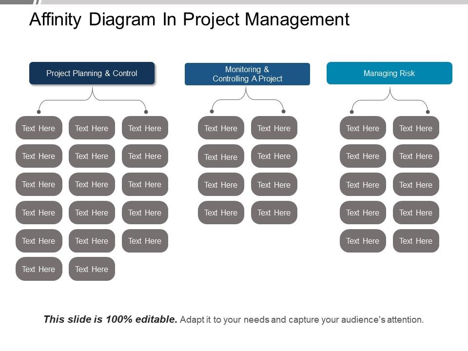 Affinity Diagram In Project Management Ppt Example File PowerPoint