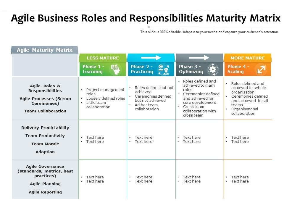 Agile Business Roles And Responsibilities Maturity Matrix | Presentation  Powerpoint Images | Example Of Ppt Presentation | Ppt Slide Layouts