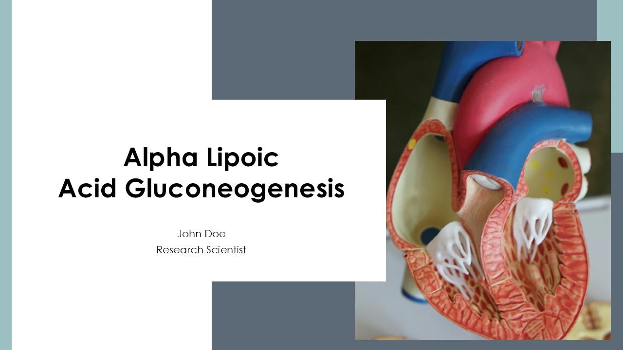 Alpha Lipoic Acid Gluconeogenesis PPT Example ACP PPT Presentation