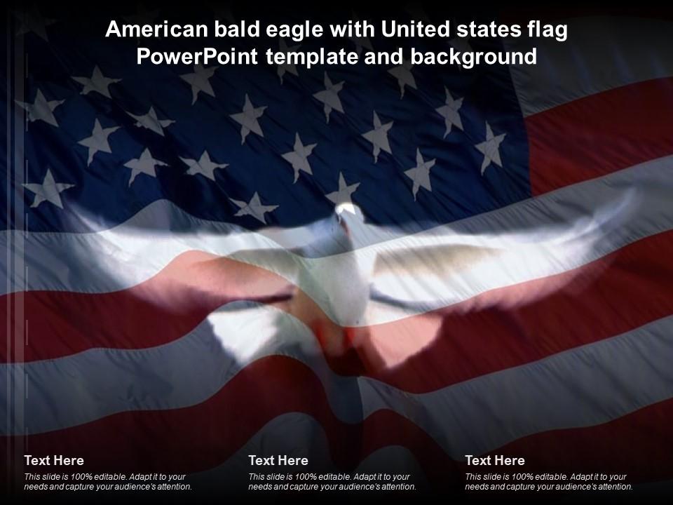 American bald eagle with united states flag powerpoint template and background Slide00