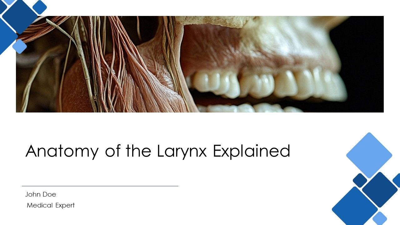Anatomy Of The Larynx Explained PPT Presentation AT