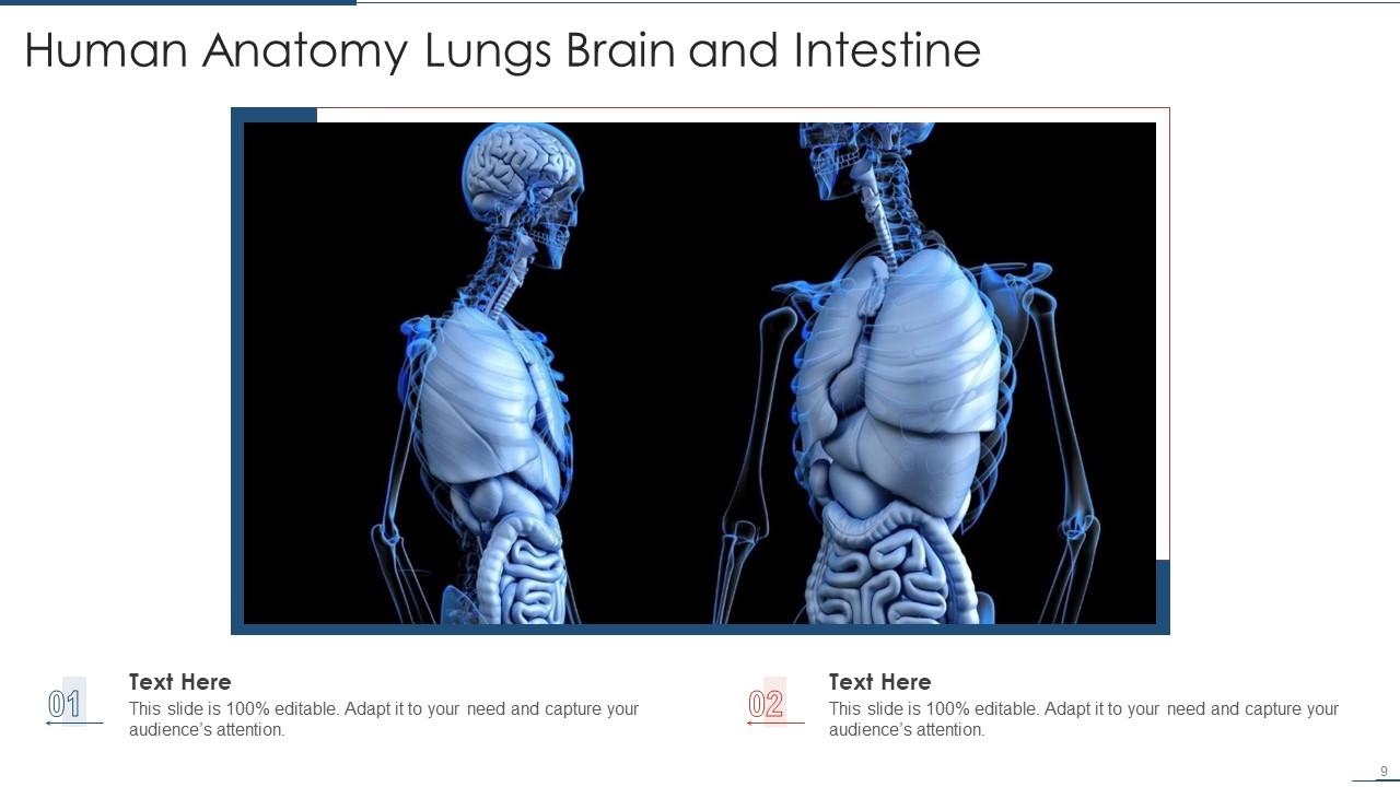 Anatomy Powerpoint Ppt Template Bundles | Presentation Graphics ...