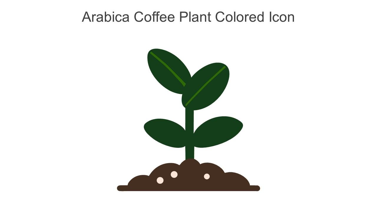 Arabica Coffee Plant Colored Icon In Powerpoint Pptx Png And Editable Eps  Format PPT Slide