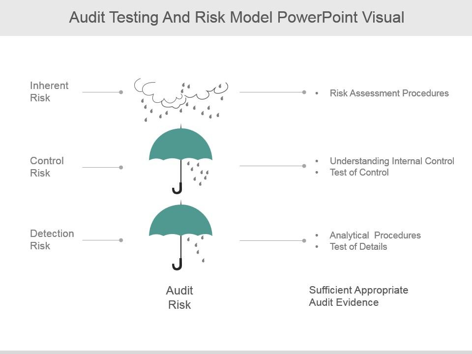 the audit risk model