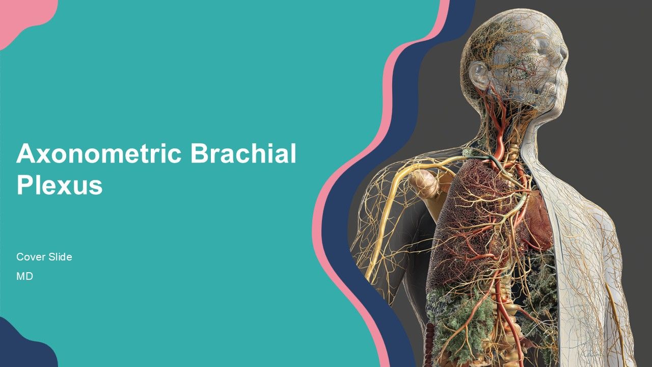 Axonometric Brachial Plexus PPT Sample ACP
