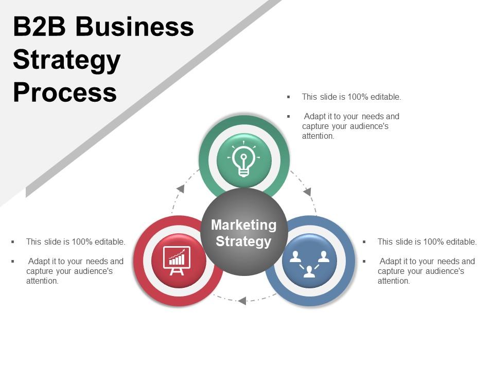 b2b_business_strategy_process_example_of_ppt_Slide01