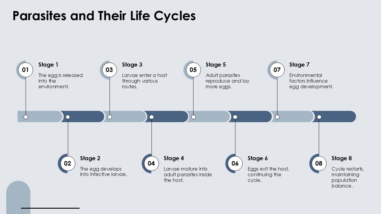 Top 10 Parasites PowerPoint Presentation Templates in 2026