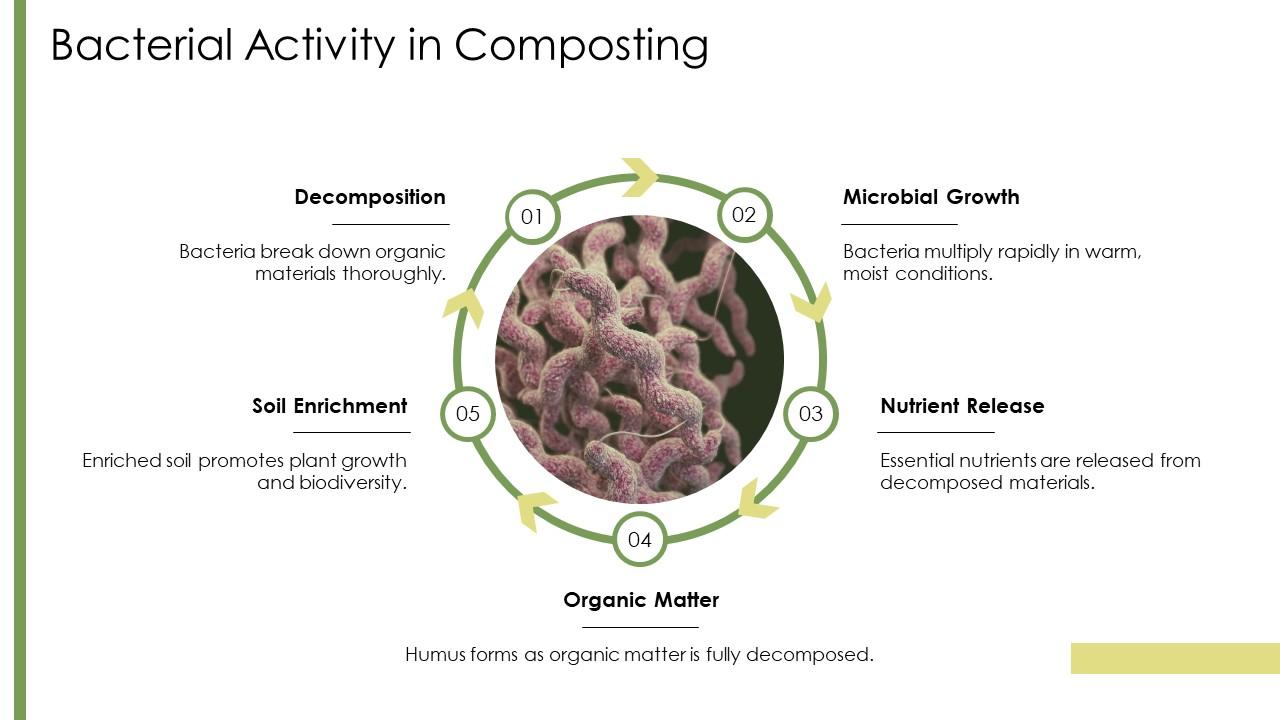 Bacteria Activity Bacterial Activity In Composting Decomposing Bacteria PPT Graphics ACP ...