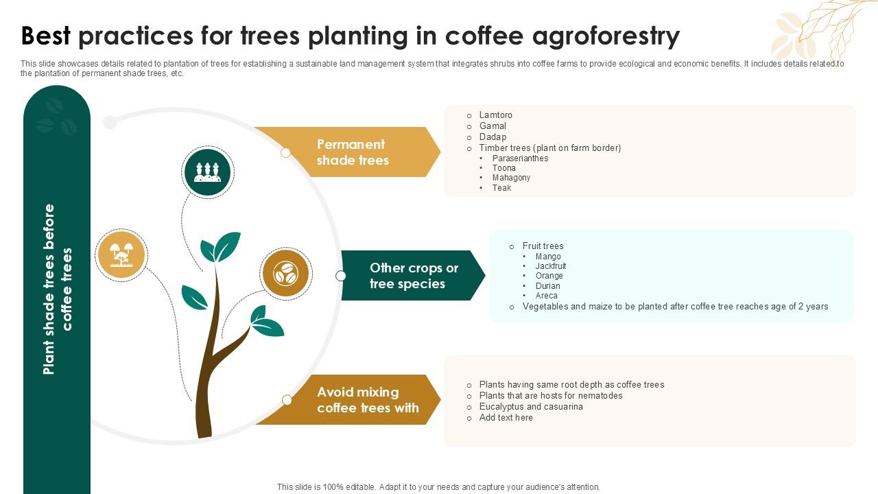 Top 10 Tree Plantation PowerPoint Presentation Templates in 2025