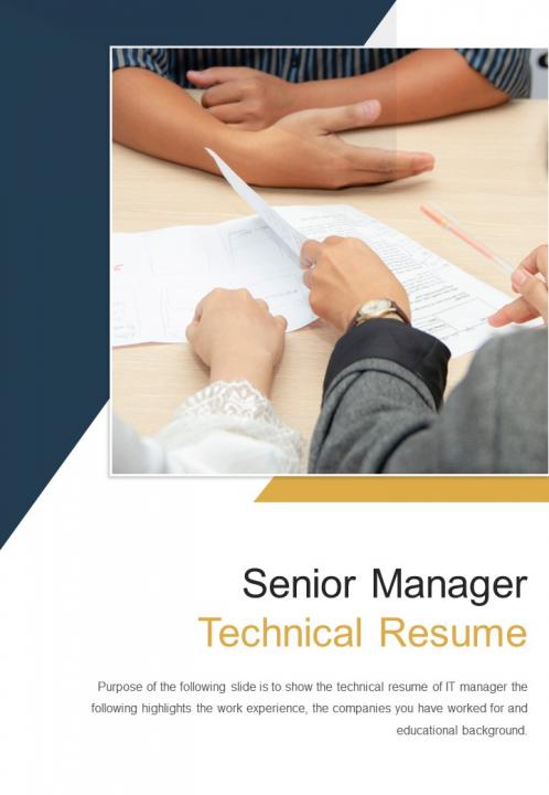 Top 10 Senior Project Manager Resume - Bi Fold Senior Manager Technical Resume Document Report Pdf Ppt Template One Pager Slide01