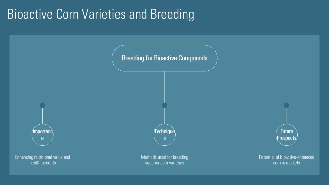 Bioactive Corn Varieties And Breeding PPT Outline ACP PPT PowerPoint