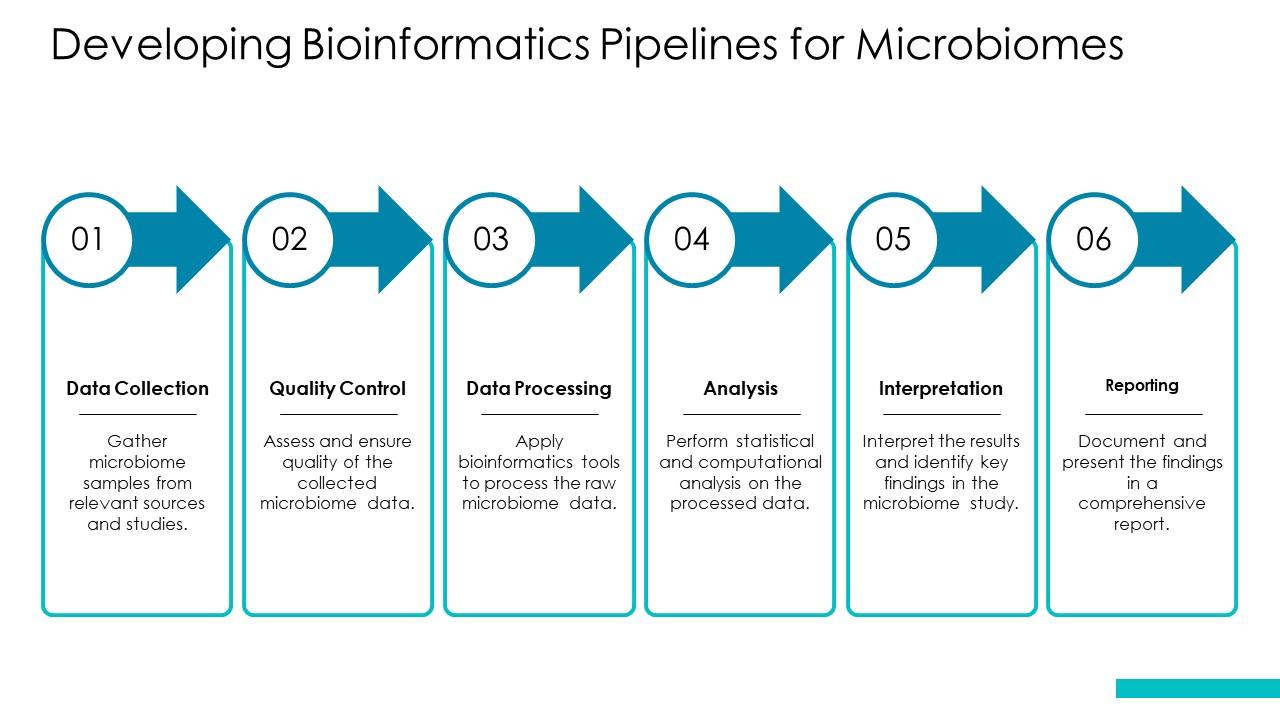 Bioinformatics Pipelines Microbiome PPT Slides ACP PPT Template