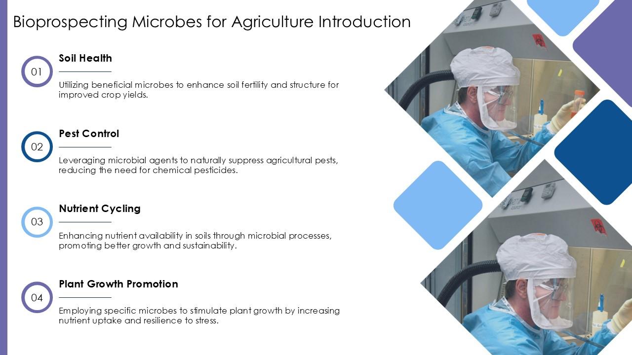 Microbes Slides Top 10 Streaking Of Microbes PowerPoint Presentation Templates in 2026