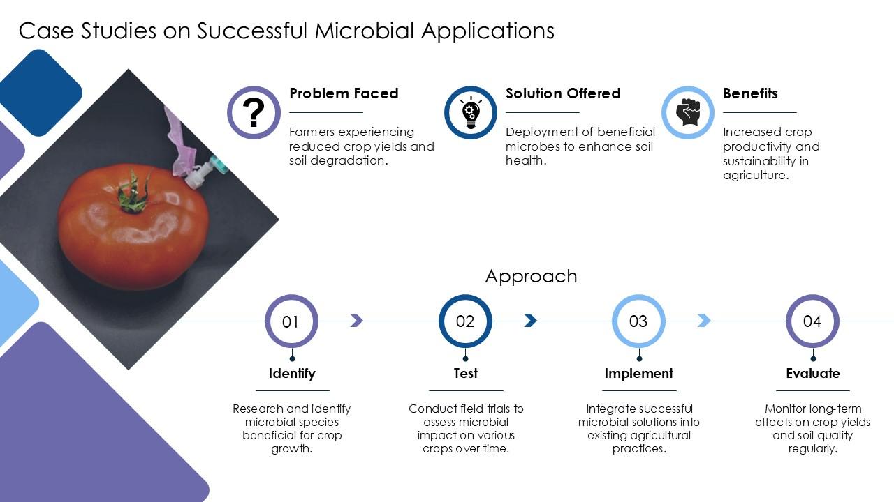 Microbes Slides Top 10 Streaking Of Microbes PowerPoint Presentation Templates in 2026
