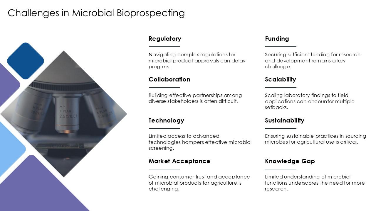Microbes Slides Top 10 Streaking Of Microbes PowerPoint Presentation Templates in 2026