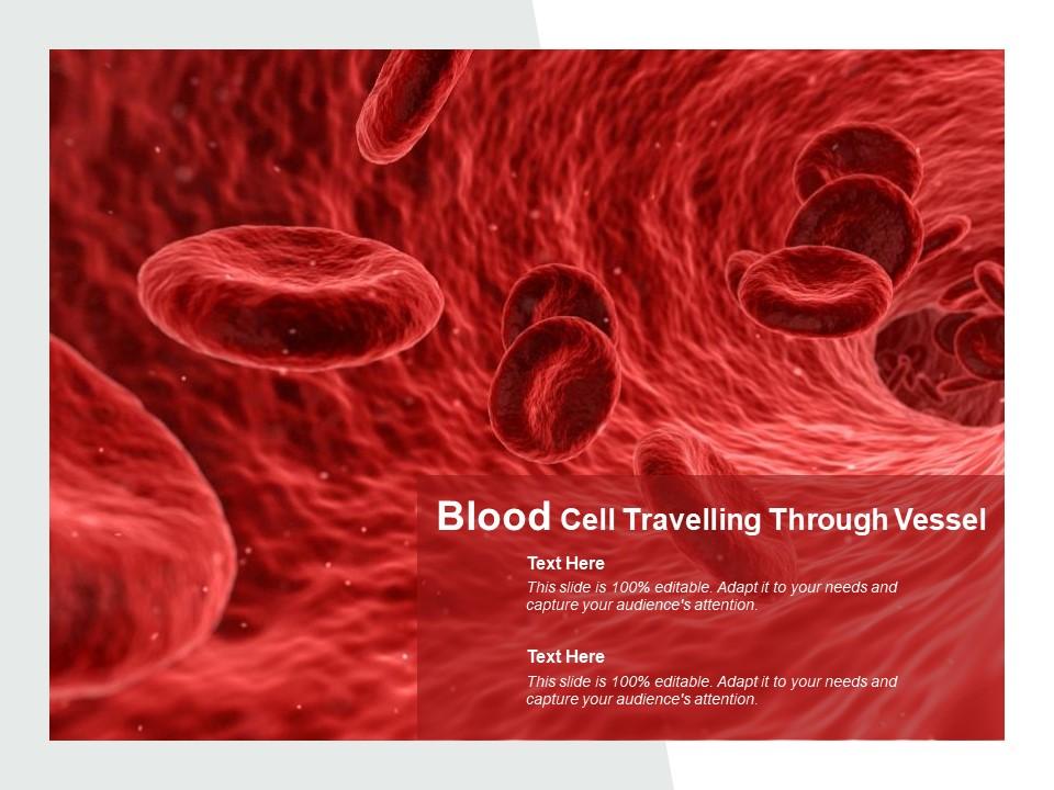 blood_cell_travelling_through_vessel_Slide01