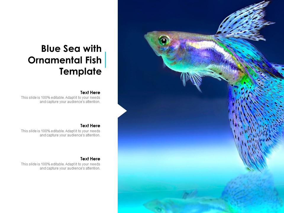 Blue Sea With Ornamental Fish Template, PowerPoint Slide Clipart, Example  of Great PPT