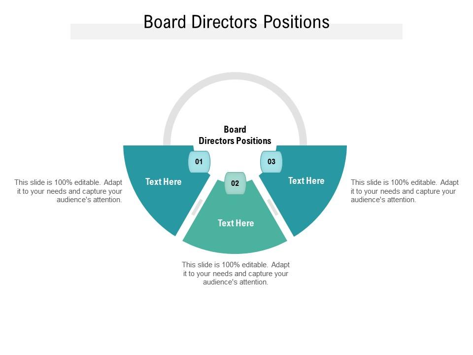 Board Directors Positions Ppt Powerpoint Presentation Infographic
