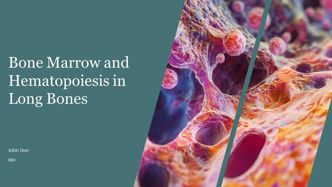 Bone Marrow And Hematopoiesis In Long Bones PPT Sample AT Bone Marrow And Hematopoiesis In Long Bones PPT Sample AT