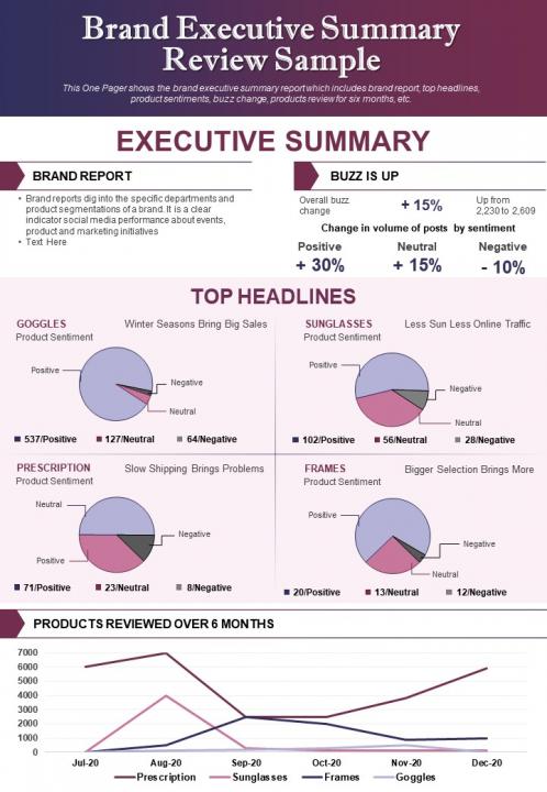 Brand executive summary review sample presentation report infographic ppt pdf document Slide01