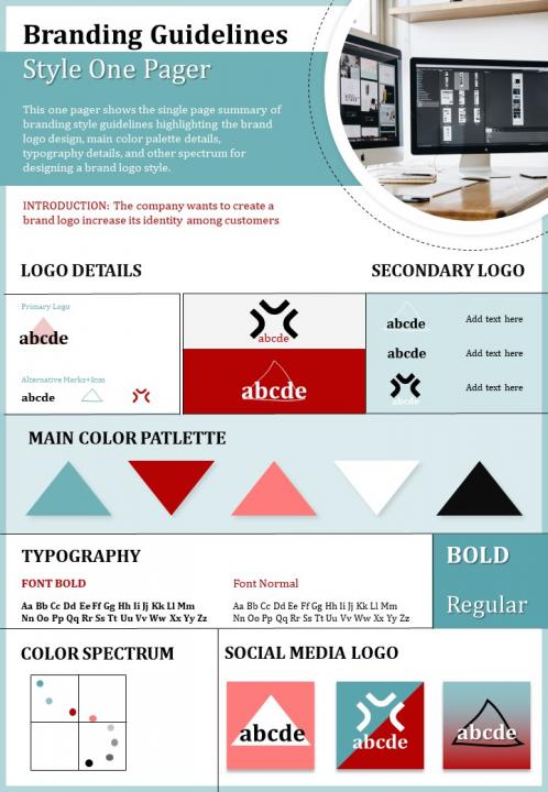 Branding guidelines style one pager presentation report infographic ppt pdf document Slide01