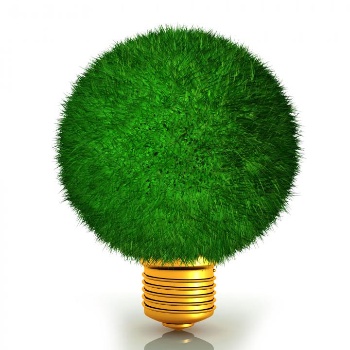 Bulb shapes plant shows green energy stock photo Slide01