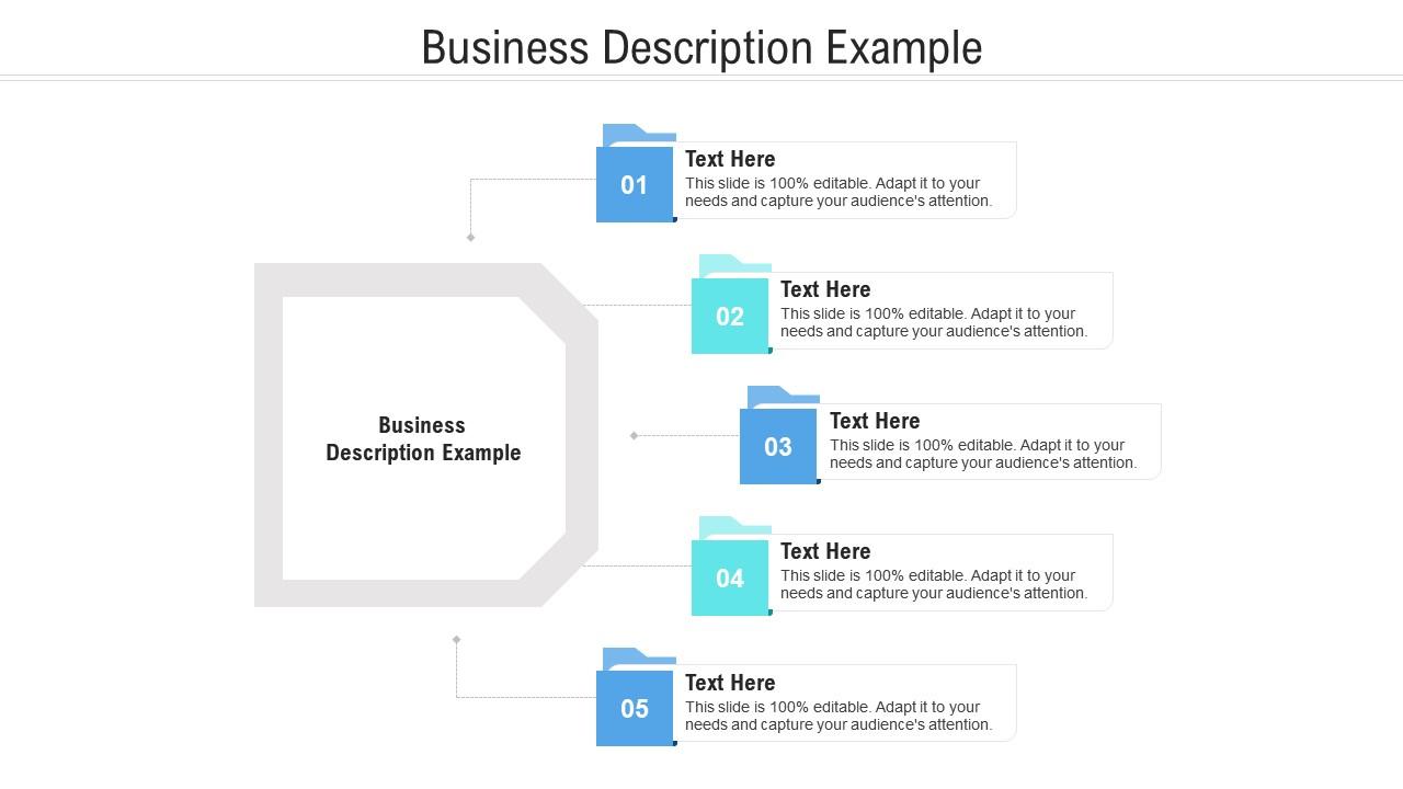 Business Description Example Ppt Powerpoint Presentation Outline